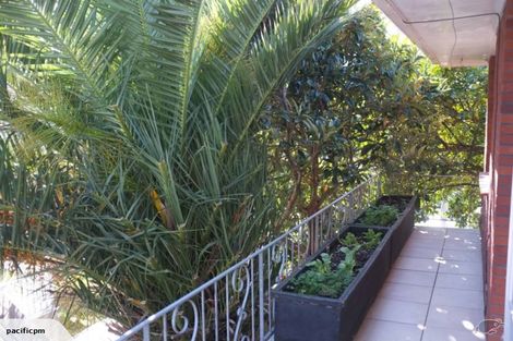 Photo of property in 4/45 Reimers Avenue, Mount Eden, Auckland, 1024