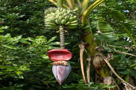 Photo of property in 27 Waikite Road, Welcome Bay, Tauranga, 3112