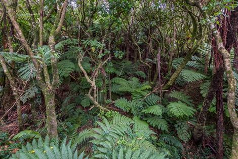 Photo of property in 41 Gardiner Grove, Wainuiomata, Lower Hutt, 5014