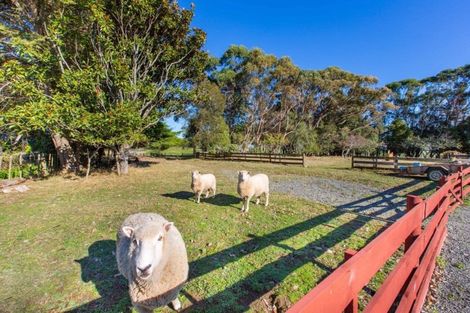 Photo of property in 1154 Te Akau Road South, Te Akau, Ngaruawahia, 3793