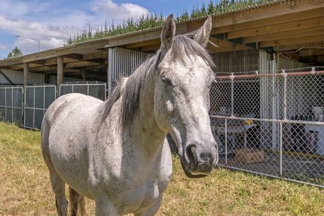 Photo of property in 617 Mclaughlins Road, Darfield, 7571