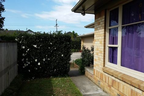 Photo of property in 29 Fifth Avenue, Enderley, Hamilton, 3214