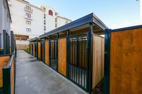 Photo of property in 6/21 Buffon Street, Waltham, Christchurch, 8023