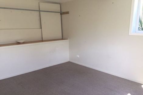 Photo of property in 17 Connolly Avenue, Mount Roskill, Auckland, 1041