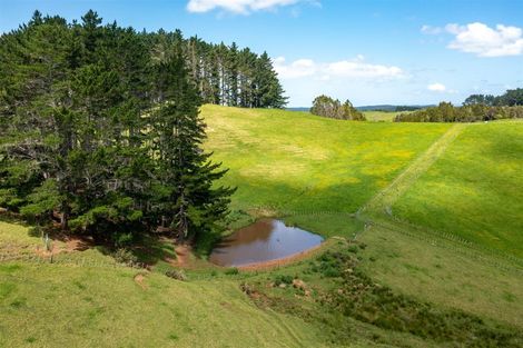 Photo of property in 507 Horseshoe Bush Road, Dairy Flat, Albany, 0794