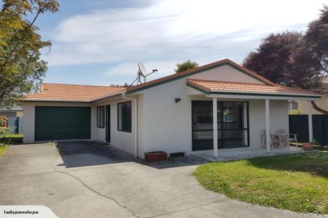 Photo of property in 26 Birmingham Street, Takaro, Palmerston North, 4412