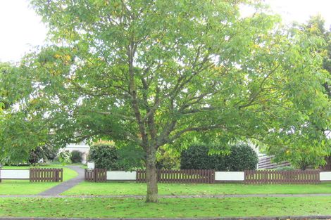 Photo of property in 226 West Parkdale Street, Tokoroa, 3420