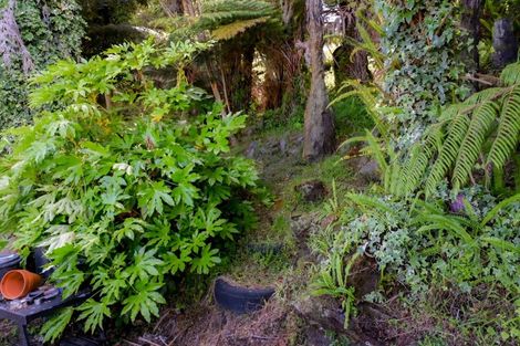 Photo of property in 44 Awaiti Place, Hairini, Tauranga, 3112