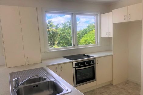 Photo of property in 17 Vista Terrace, Hillcrest, Hamilton, 3216