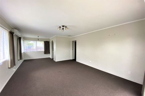 Photo of property in 47 Rimu Street, Maeroa, Hamilton, 3200