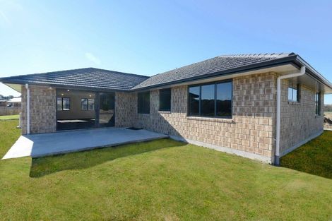 Photo of property in 16 Max Landing, Grandview Heights, Hamilton, 3200