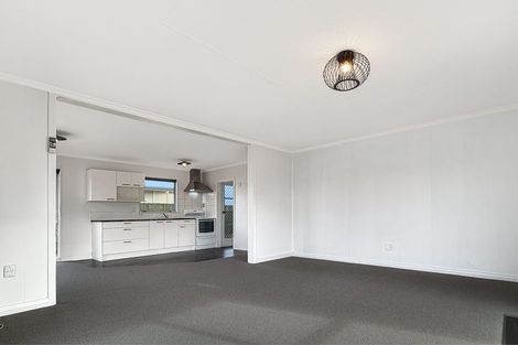 Photo of property in 179 Tiro Tiro Road, Levin, 5510