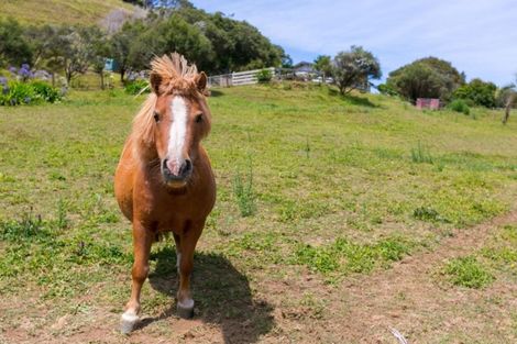 Photo of property in 97 Piko Road, Okoki, Urenui, 4375