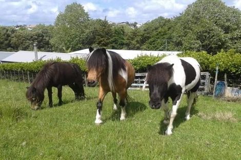 Photo of property in 30 Muncaster Road, Snells Beach, 0920