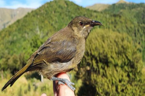Photo of property in 439 Engelbrechts Road, Hunter, Waimate, 7978