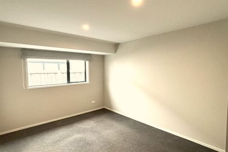 Photo of property in 123 Infinity Drive, Pegasus, 7612