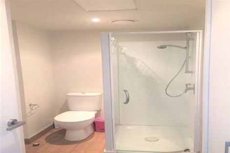 Photo of property in Soho Apartments, 1407/74 Taranaki Street, Te Aro, Wellington, 6011