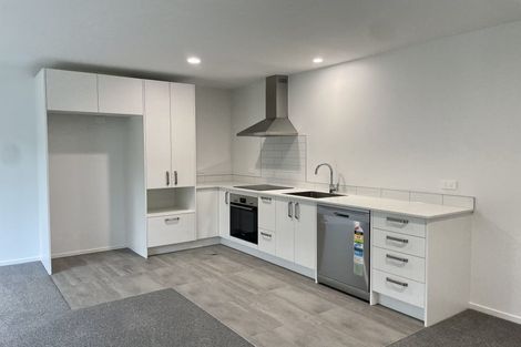 Photo of property in 2/155 Rimu Street, Maeroa, Hamilton, 3200