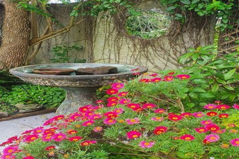 Photo of property in 20 Cumbrae Place, Aramoho, Whanganui, 4500