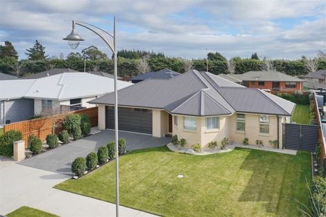 Photo of property in 16 Magnate Drive, Kaiapoi, 7630
