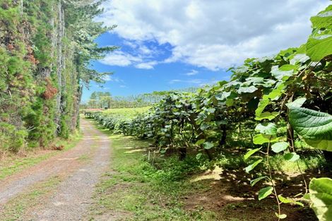 Photo of property in 29 I'anson Road, Minden, 3179