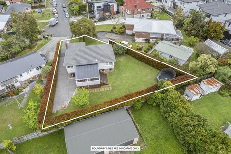 Photo of property in 4 Maunder Place, New Lynn, Auckland, 0600