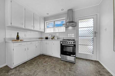 Photo of property in 1/1 Griffen Road, Mount Roskill, Auckland, 1041