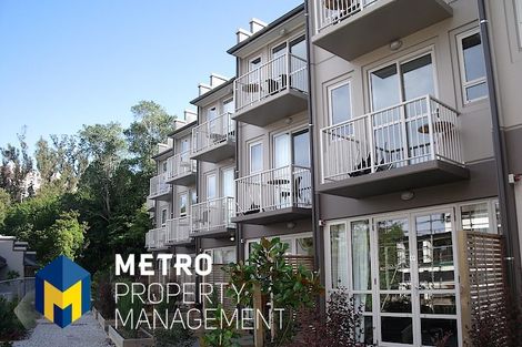 Photo of property in 101 North Road, North East Valley, Dunedin, 9010