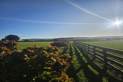 Photo of property in 4 Whare Roto Drive, Waipukurau, 4282