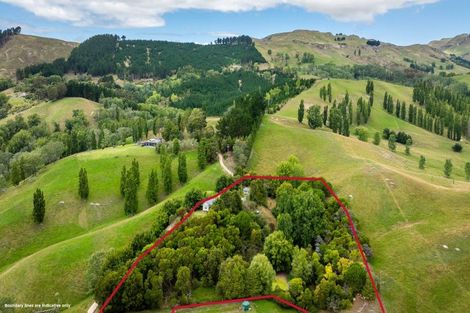 Photo of property in 583a Kahuranaki Road, Kahuranaki, Havelock North, 4295