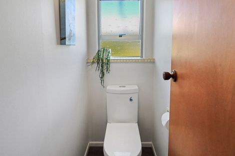 Photo of property in 234 Kawiu Road, Levin, 5510