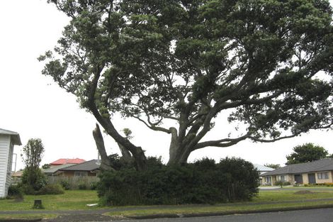 Photo of property in 14 Albert Street, Pukekohe, 2120