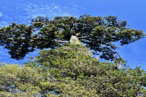 Photo of property in 64 Eco Place, Little Wanganui, Karamea, 7893