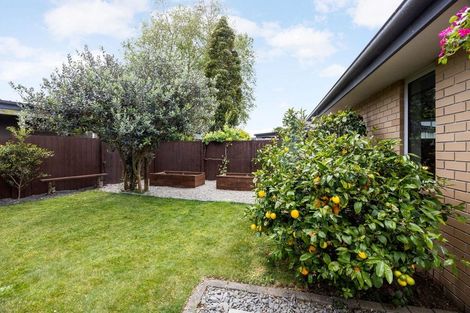 Photo of property in 18 Brancaster Place, Cambridge, 3434