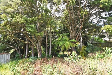 Photo of property in 51 Hill Street, Warkworth, 0910