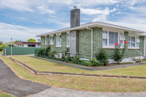Photo of property in 145 Winchester Street, Levin, 5510