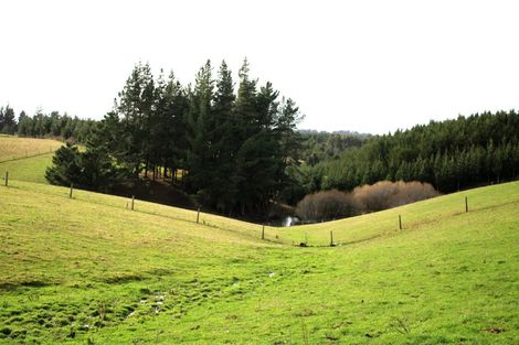 Photo of property in 118 Old Port Road, Warepa, Balclutha, 9273