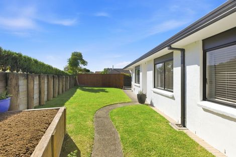 Photo of property in 36a Heron Avenue, Matua, Tauranga, 3110