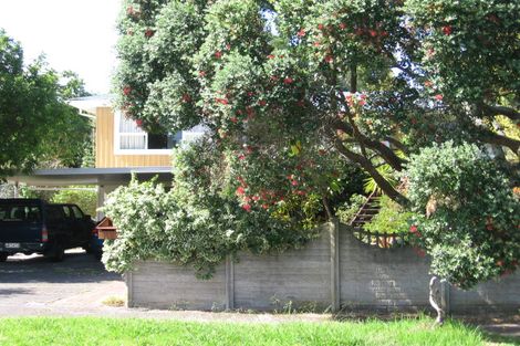 Photo of property in 165 Methuen Road, New Windsor, Auckland, 0600