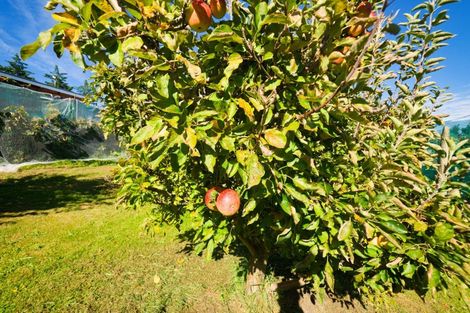 Photo of property in 317 Caseys Road, Blind River, Seddon, 7285