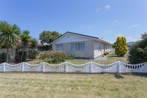 Photo of property in 49 Somerset Road, Springvale, Whanganui, 4501