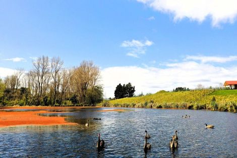 Photo of property in 70 Te Whanga Road, Levin, 5572