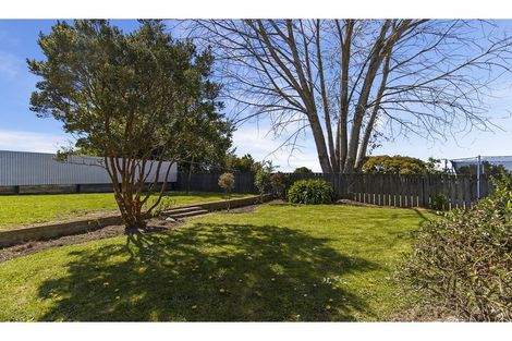 Photo of property in 77 Andrew Street, Marchwiel, Timaru, 7910