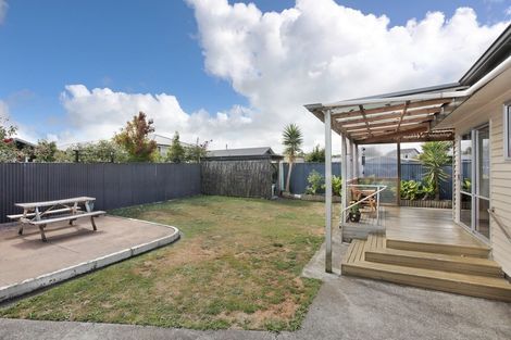 Photo of property in 100 Lethbridge Street, Feilding, 4702