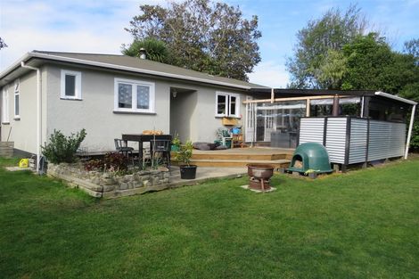 Photo of property in 7 Beechwood Avenue, Levin, 5510