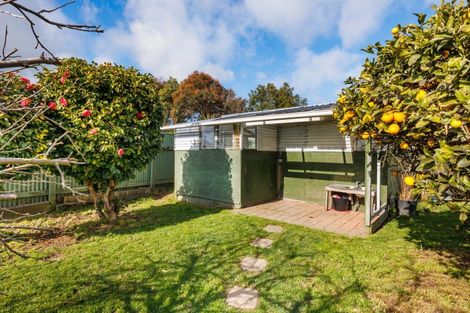 Photo of property in 29 Elizabeth Street, Feilding, 4702