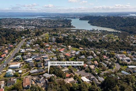 Photo of property in 141a Manuka Road, Bayview, Auckland, 0629