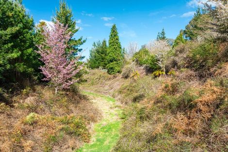 Photo of property in 514 State Highway 1, Wairakei, Taupo, 3384