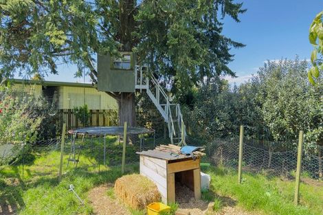 Photo of property in 11 Miro Street, Matamata, 3400