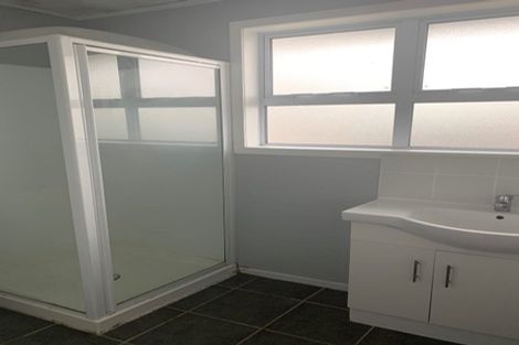 Photo of property in 60 Webster Avenue, Mount Roskill, Auckland, 1041